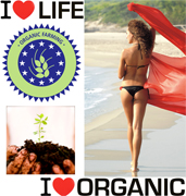 CERTIFIED ORGANIC LYCOPENE as food supplement, health food manufacturing produced with organic lycopene, Italian organic health food products made in Italy, hearth health care and cardiovascular disease prevention products from an Italian manufacturer, dietary supplement food organic suppliers and health food pills to USA, Canada, Middle East and Europe health care European dietary food wholesale distributors. Supplement food manufacturer with organic lycopene for health care business to business, organic lycopene for health care, skin care, anti aging for wholesale business and industrial applications
